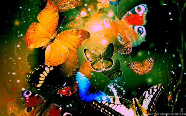 картины с бабочками