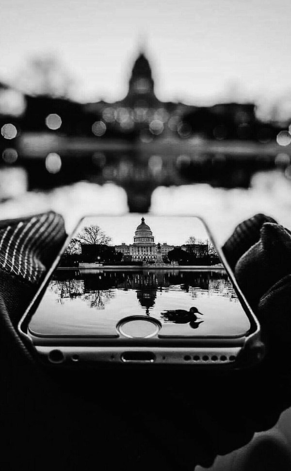 архитектура вашингтона