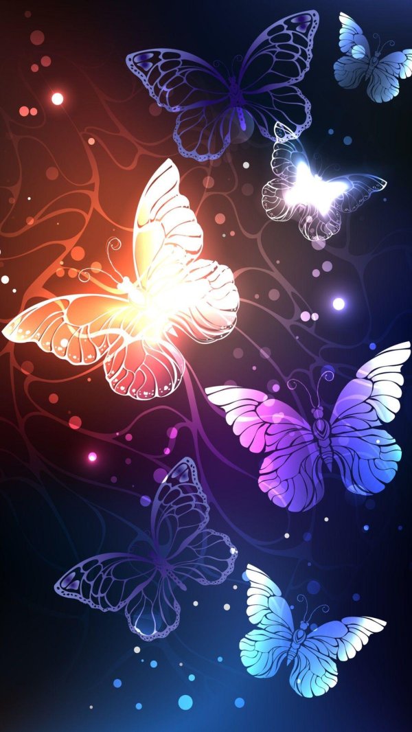 бабочка ночь