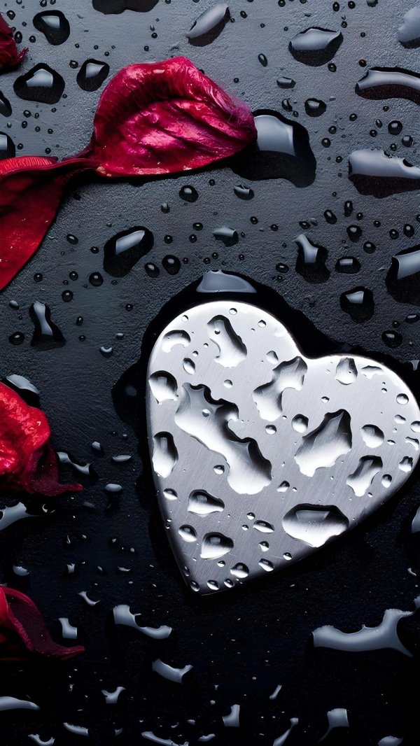 лепестки роз