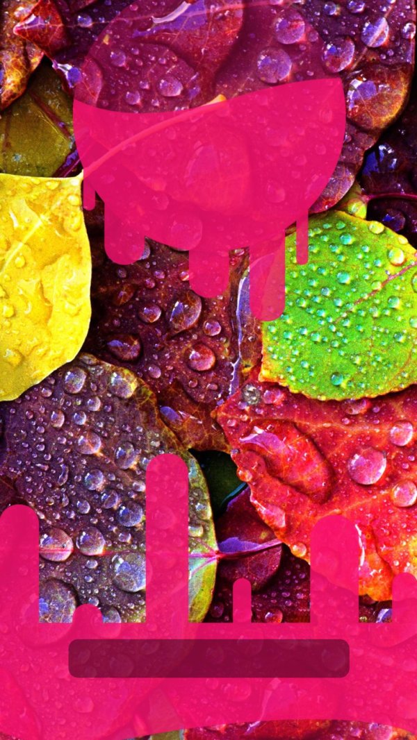 разноцветные листья