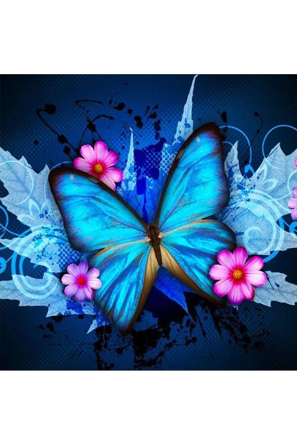 синие бабочки