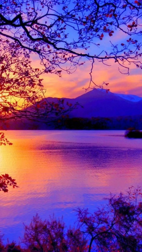 красивейшие пейзажи