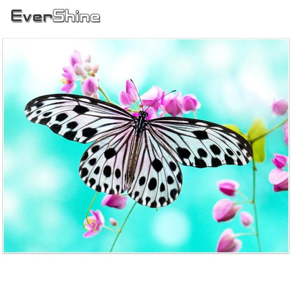 белая бабочка