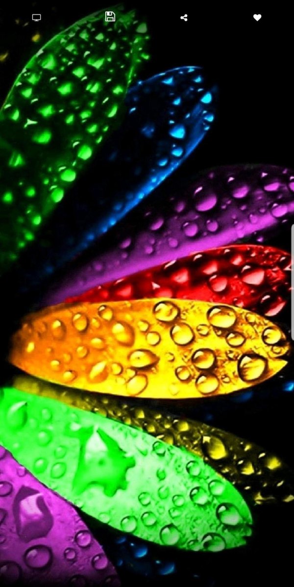 разноцветный мир