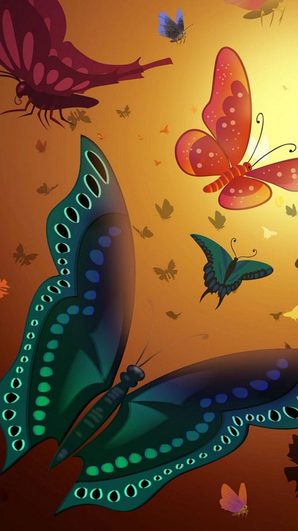 яркие рисунки бабочки