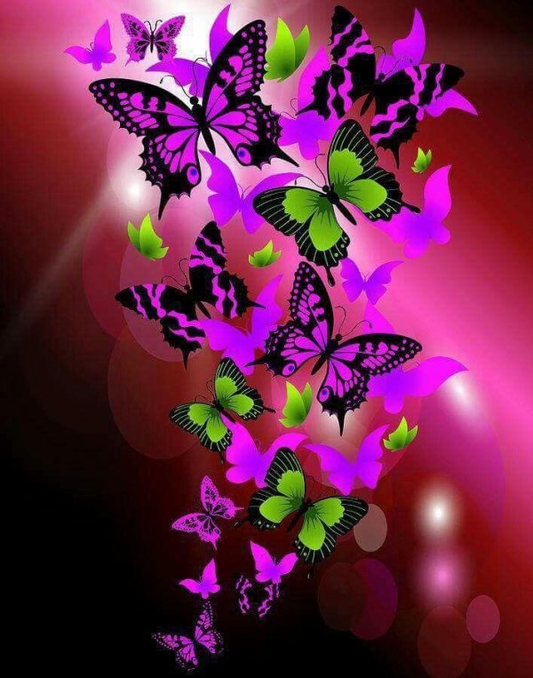 бабочки на экран телефона