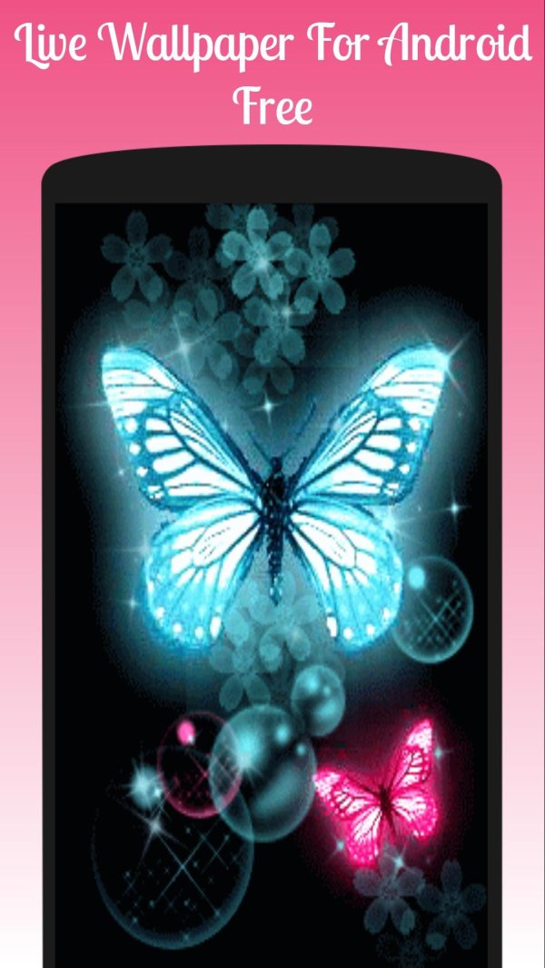 неоновые бабочки живые