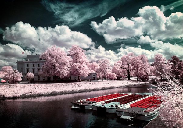 инфракрасные снимки