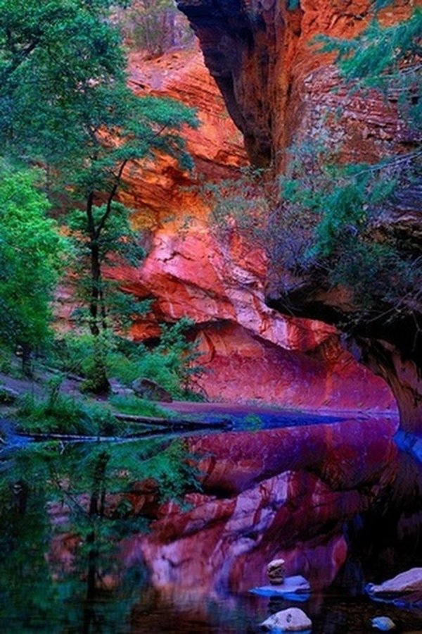 чудеса природы