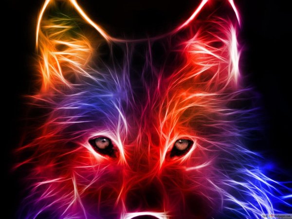 огненные волки