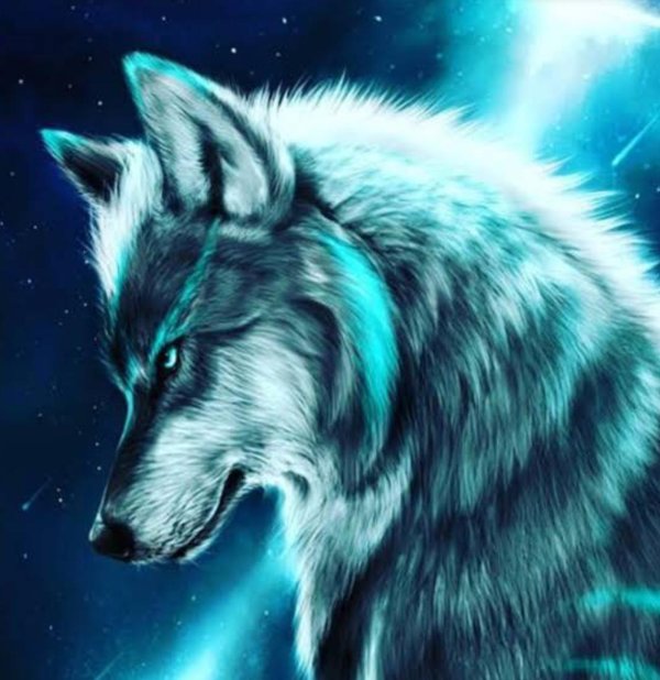 волк одинокий