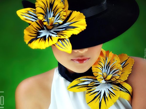 женская шляпа