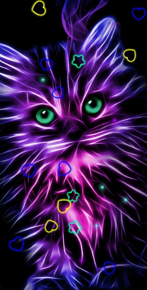 неоновые коты