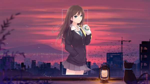 девушки из аниме