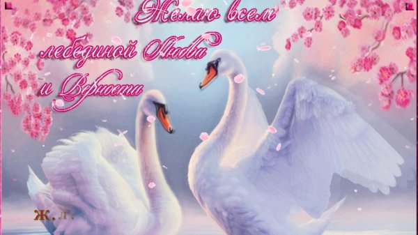 лебеди открытка