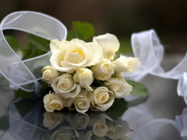 белая роза букет