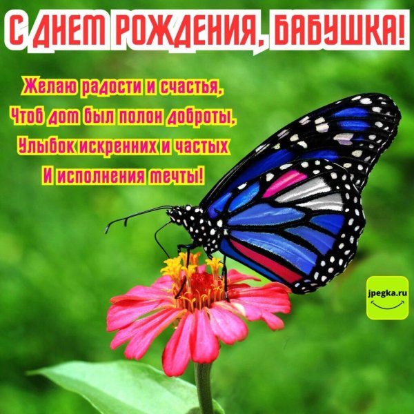 поздравляем бабушку