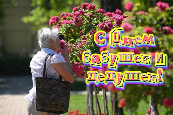 28 октября день бабушек и дедушек