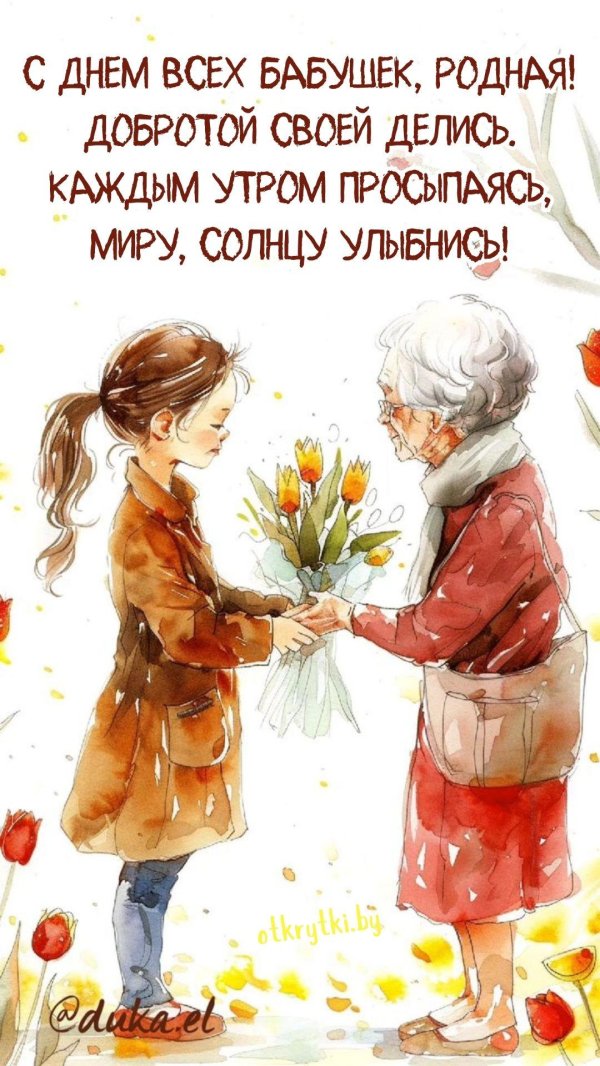 берегите бабушек