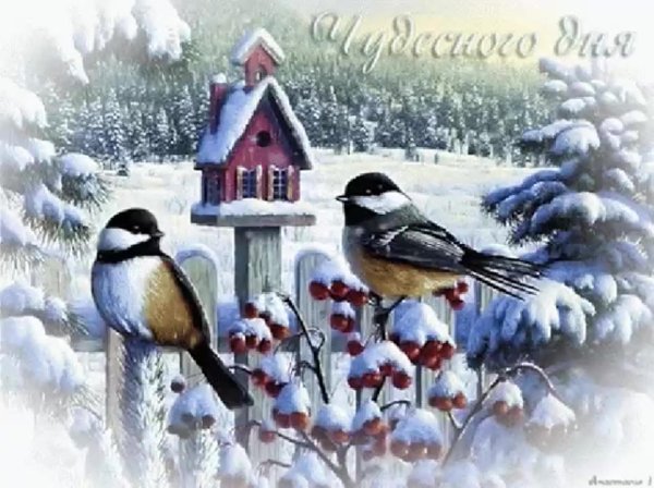 открытка зимняя