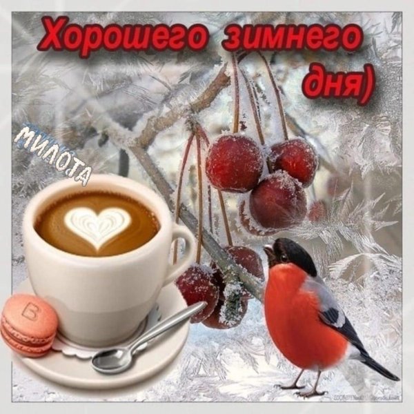 доброго дня и хорошего настроения зимние