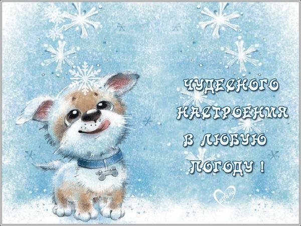 зимнего настроения