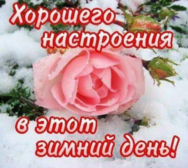прекрасного зимнего дня и отличного настроения