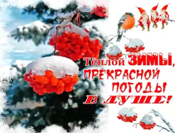 прекрасной зимы