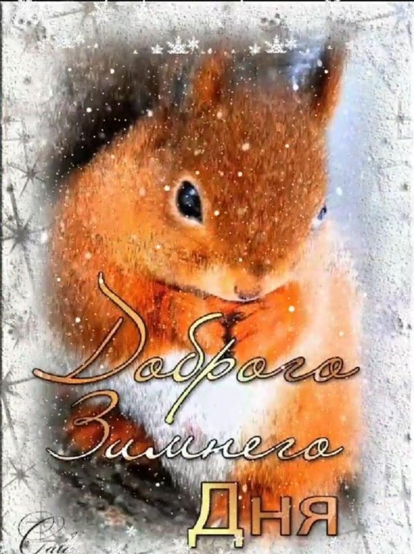 доброе утро с белочкой
