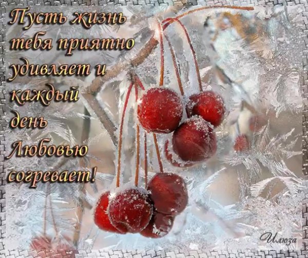 яркого зимнего дня