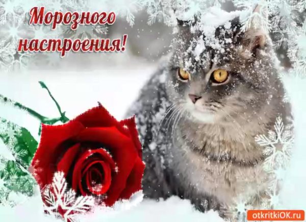 зимнего настроения