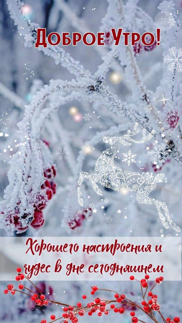 доброго утра зима