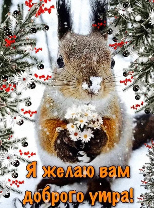 с доброе утро зимнее