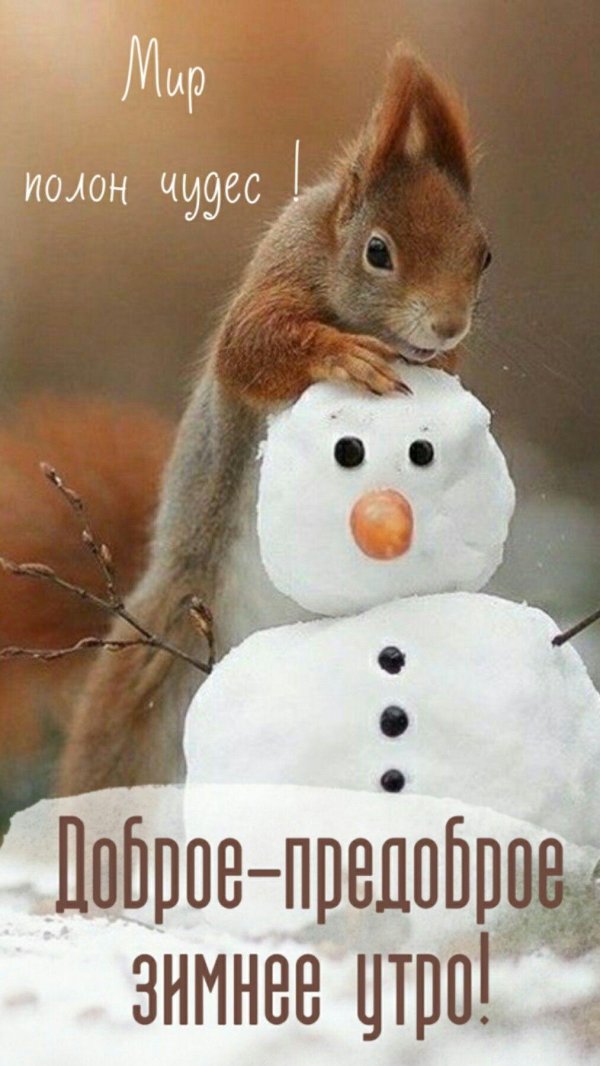 утра доброго зимнего