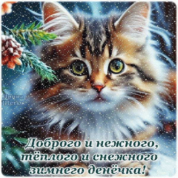 хорошего зимнего денечка