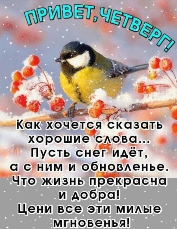 синичкин день