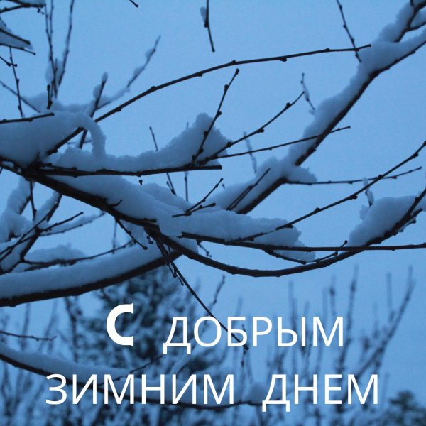 доброго зимнего денечка