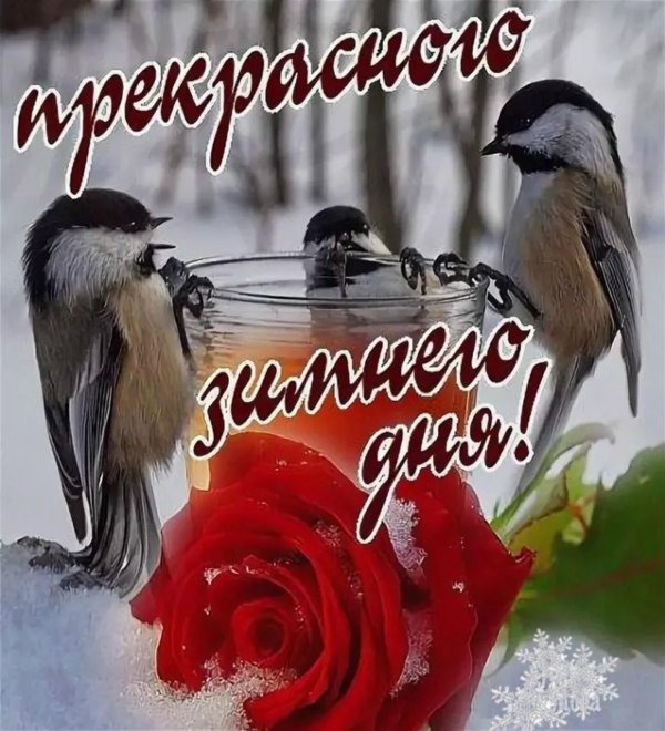 доброе утро открытка зимние