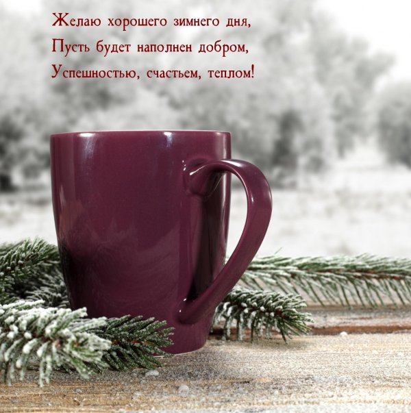 снежного утра