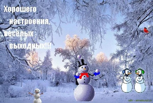 прекрасных зимних выходных