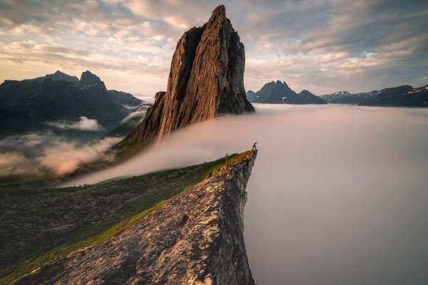 лучшие фотографии