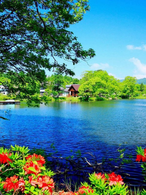 летняя природа