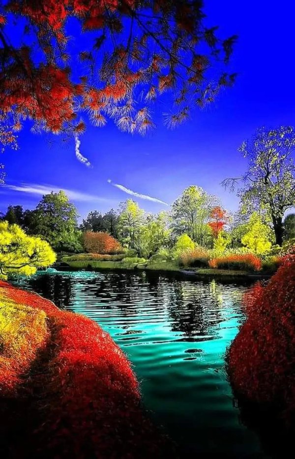 пейзажи осенние