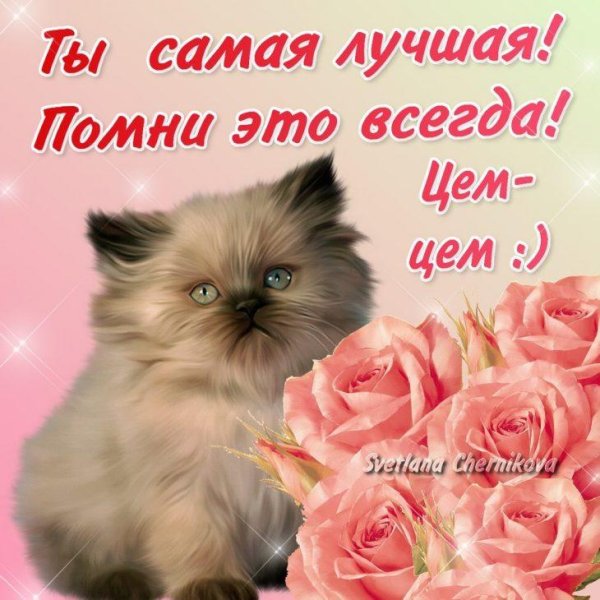 открытка самой лучшей