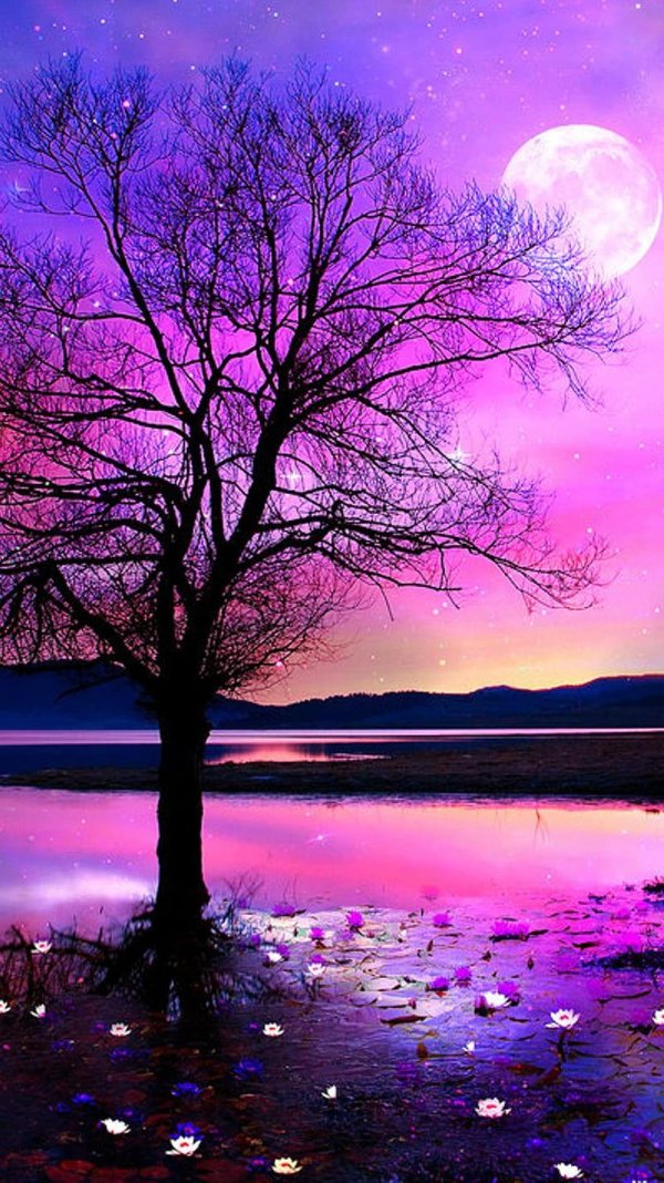 фиолетовая луна