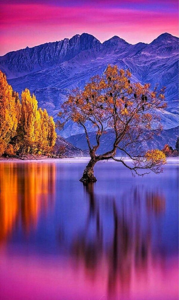 озеро уанака новая зеландия