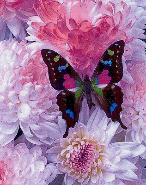 алмазная мозаика бабочка