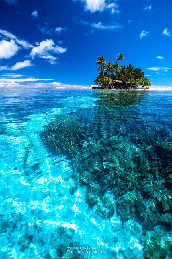 океан красивый