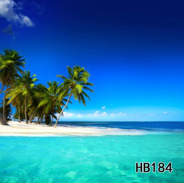 парадиз остров карибского моря